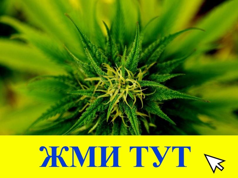 Купить наркотики в Славянске-на-Кубани